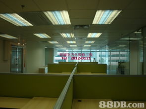 新誠裝修 專業施工，精準報價，打造理想空間